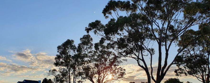 Mosman Park Bowling Club