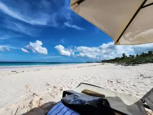 French Leave Beach
