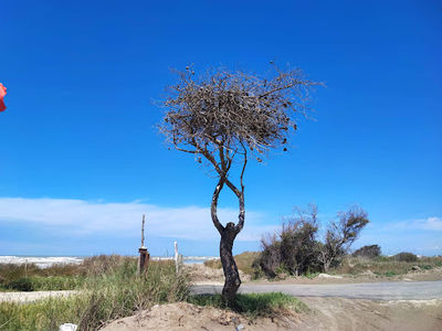 Seman Beach