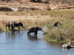 Sabie River