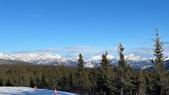 Northern Alaska Tour Company