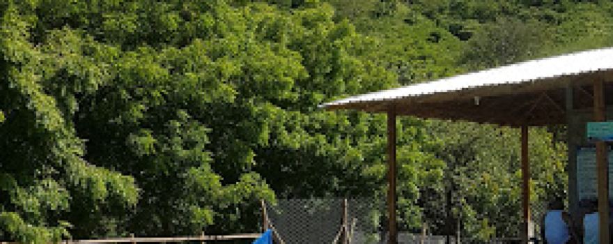 Aguas Termales Ribot