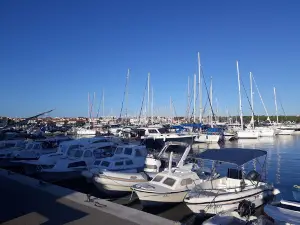 Aquarium & Museum of Maritime Tradition