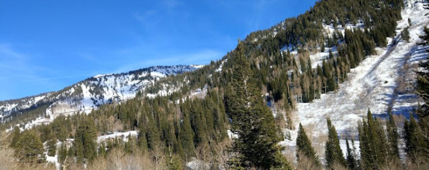 Snowbird Conference Services