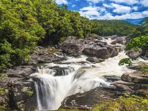 Ranomafana National Park