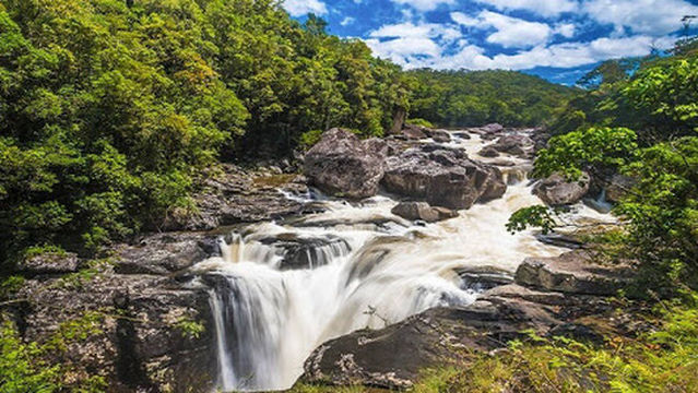 Ranomafana National Park