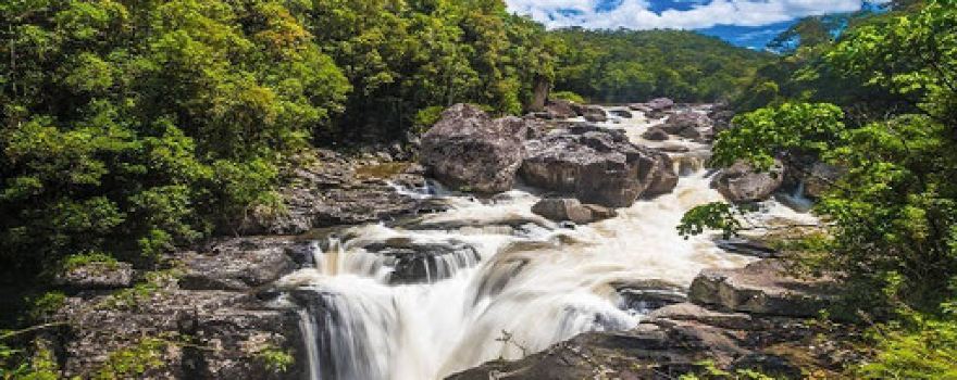 Ranomafana National Park