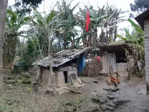 Chợ Lương Năng