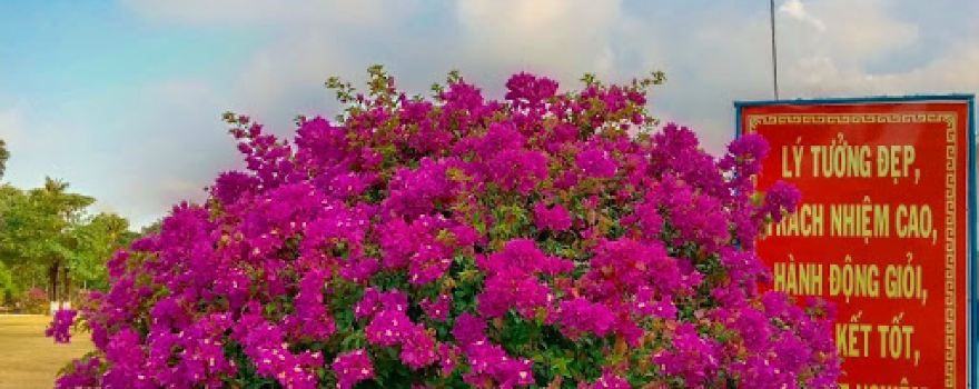 Trường quân sự quân đoàn 3