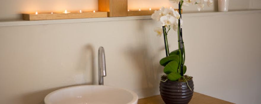 Cedar Therapy - Deddington