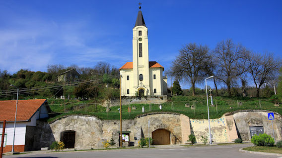 Opcina Draz