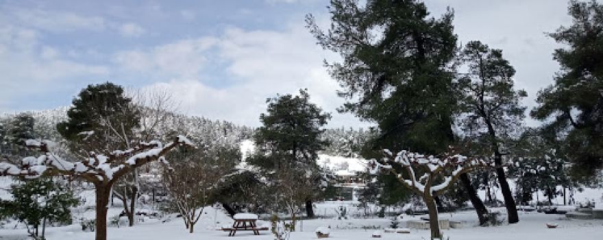 Park