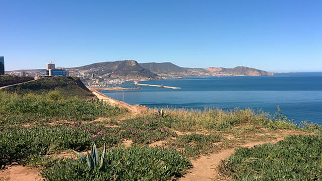 Mediterranean Garden