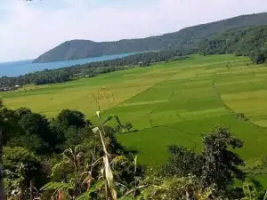 Gereja St. Petrus dan Paulus Dampek