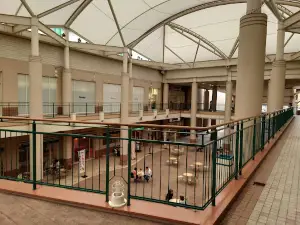 Port Plaza Nikka