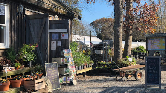 Vineyard Gardens Nursery