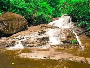 Yagirala Rain Forest