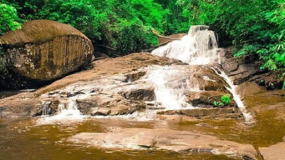 Yagirala Rain Forest