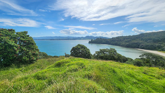 Pohutukawa Park