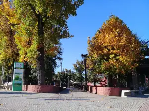 Plaza de Armas