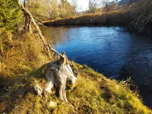 Soumarské rašeliniště