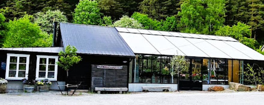 Nora Garden