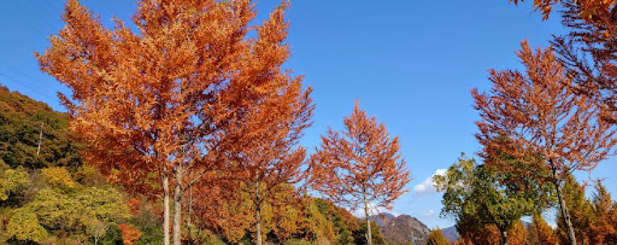 Hanasaki Country Club