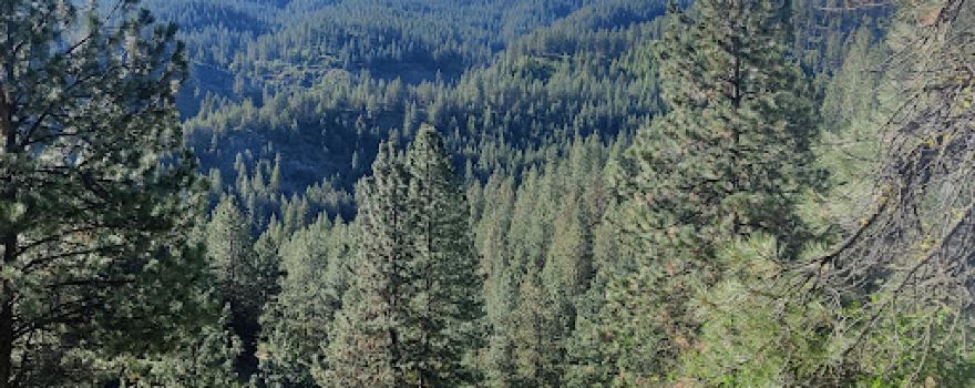 Alder Creek Biking & Hiking Trail