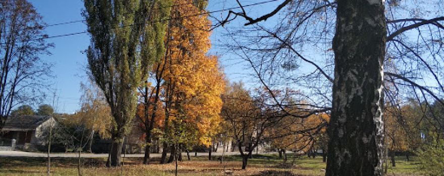 Park Pershotravensʹka