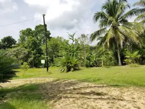 Living Maya Experience