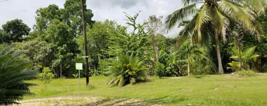 Living Maya Experience