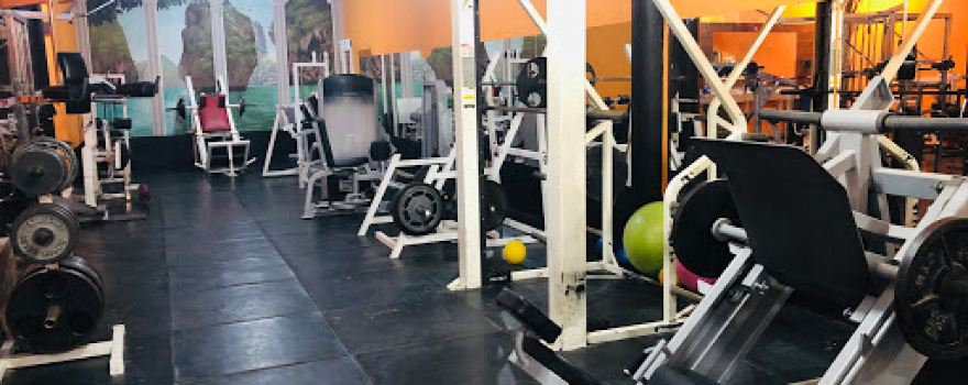 POWER GYM