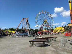 Million Tivoli (Tivoli Sariola)