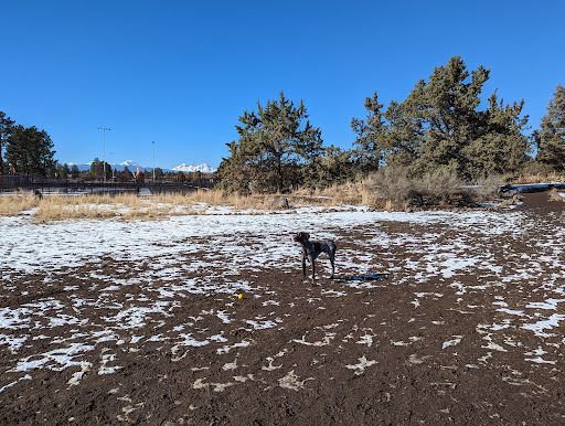 Pine Nursery Dog Park