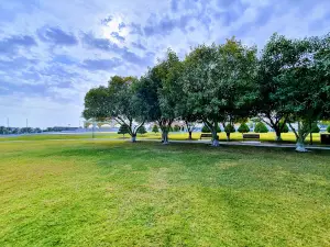 Mirfa park
