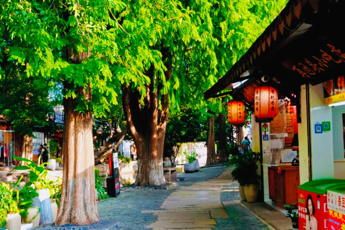 Best Time to Visit Zhujiajiao: Seasons, Crowds, and Timing Tips