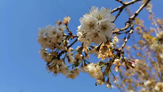 Changning Sandao Bridge Scenic Area
