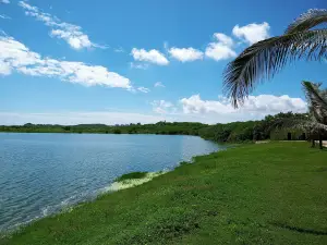 Mirador Lago Del Cisne Park