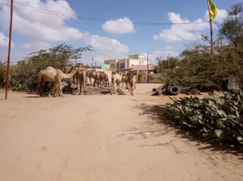 Freedom park (Beerta Xoriyada)