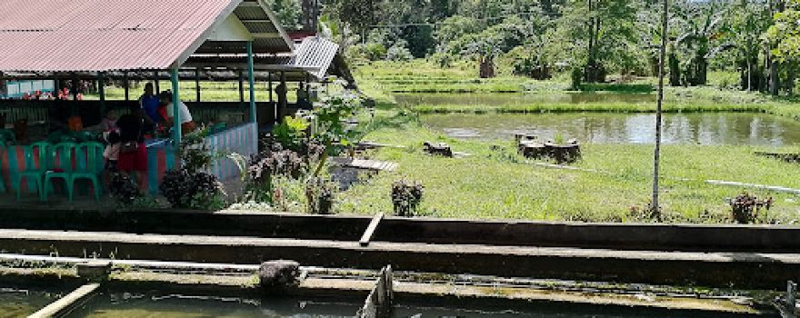 Embangai Hulu