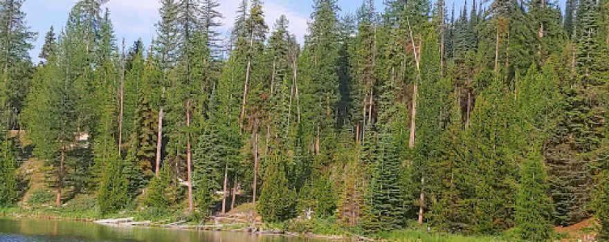 Idleback Lake Recreation Site