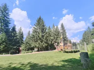 Arka Park Păltiniș