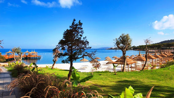 Usuluk Koyu Tabiat Parkı