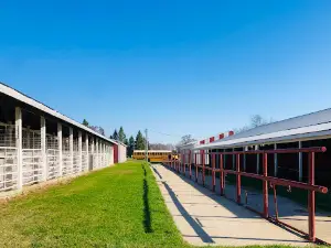 Mecosta County Fairgrounds