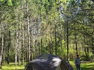 Stubler Beach and Campground
