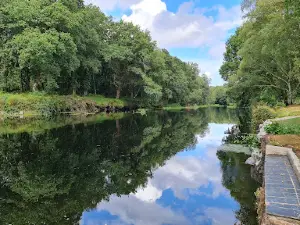 Club Fluvial de Begonte