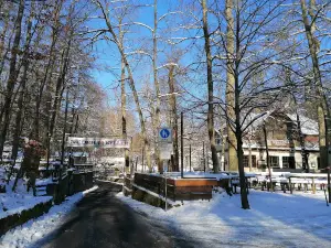 Forchheimer Kellerwald