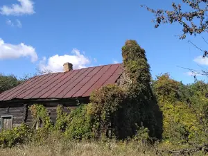 Palieski State Radioecological Reserve