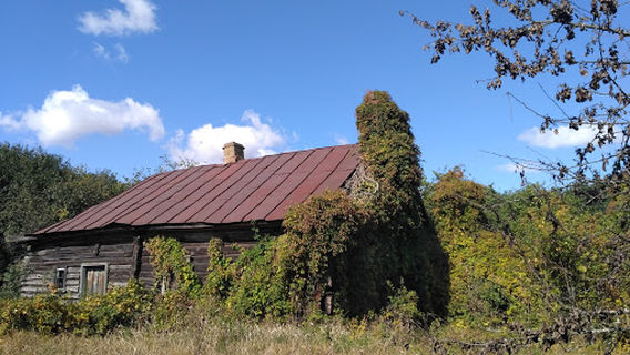 Palieski State Radioecological Reserve