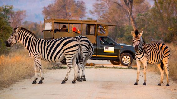 Private Kruger Safaris